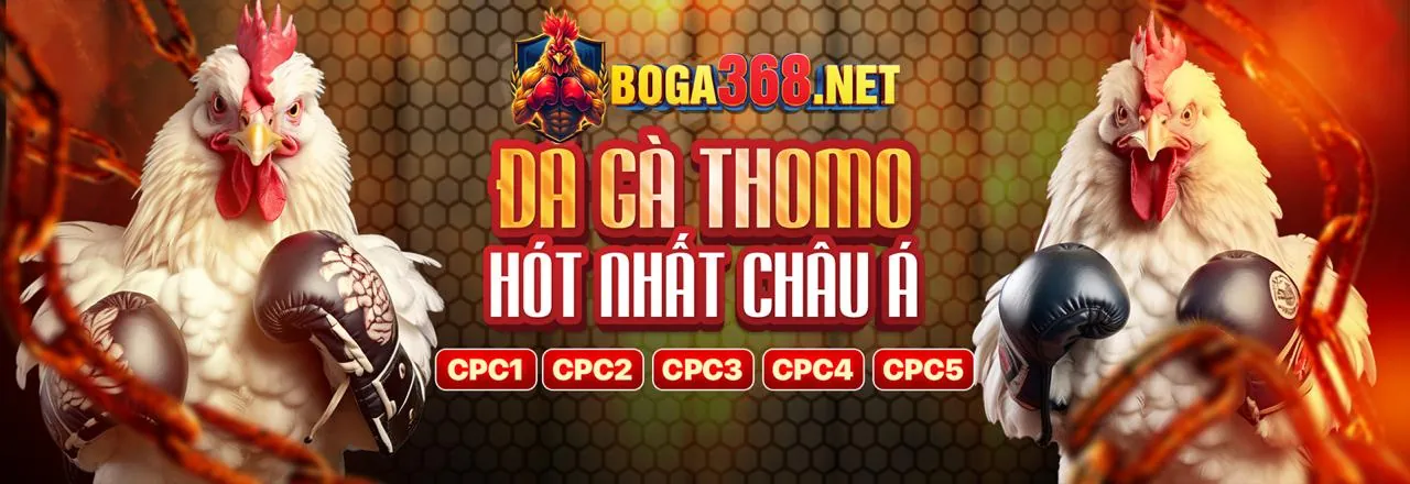 SCLUB88 nền tảng uy tín và an toàn