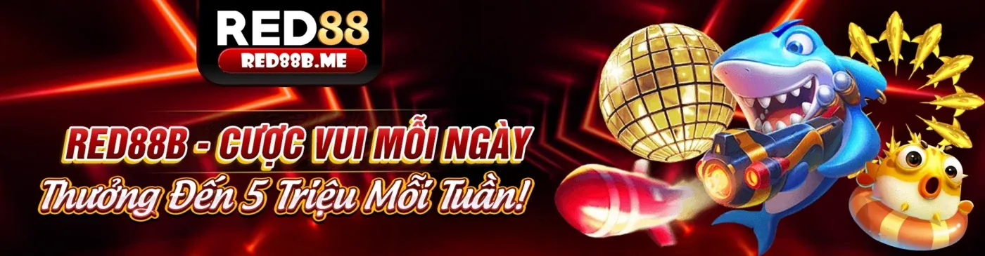 Giao diện Sclub88 tối ưu trên thiết bị di động